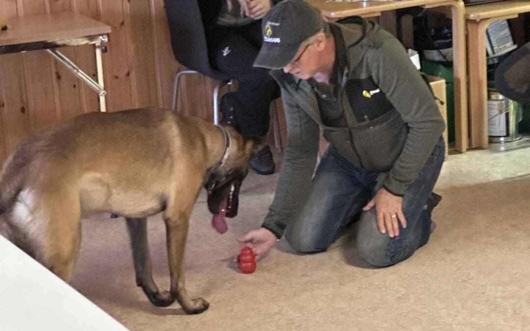 Secialsök på klubben!