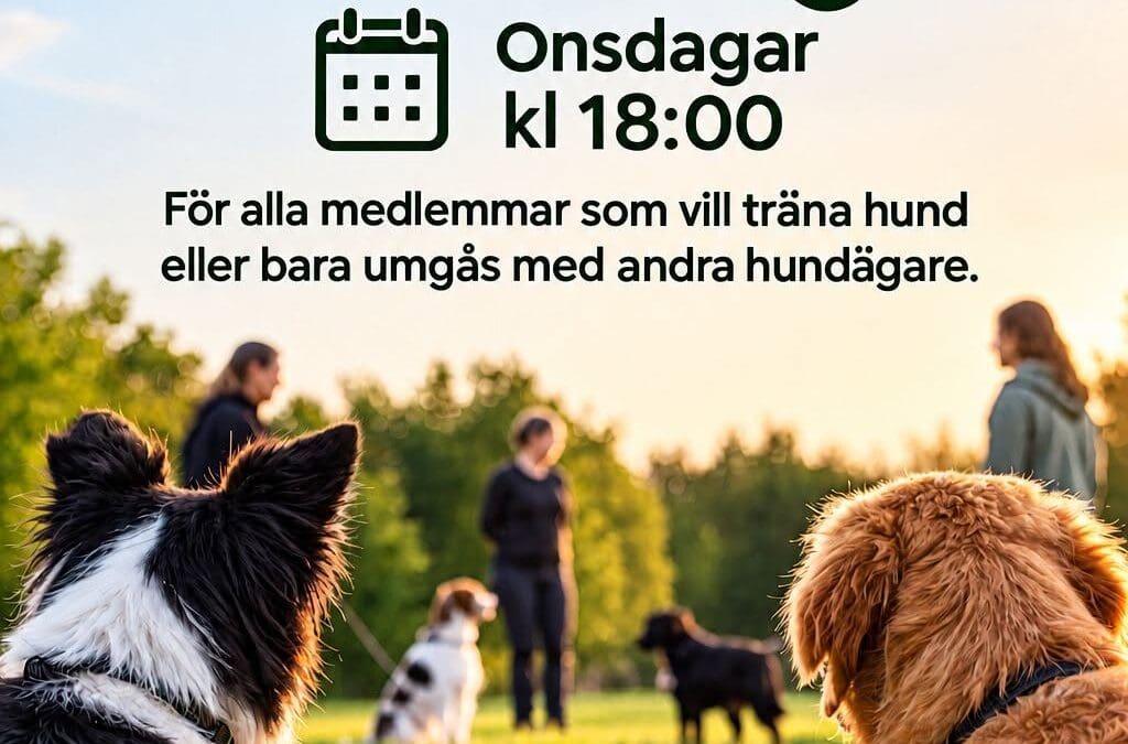 Vi fortsätter med Onsdagsträffarna!